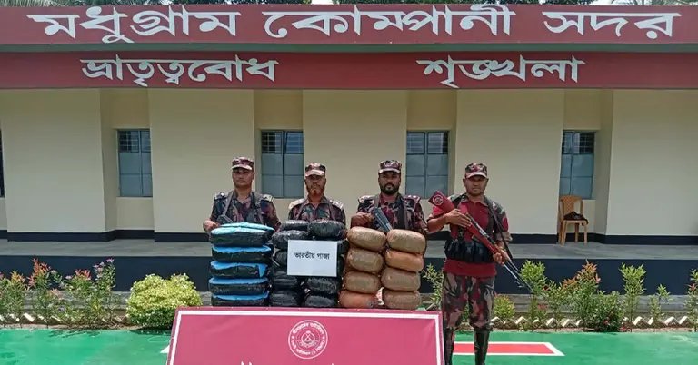 আটক করা গাঁজা